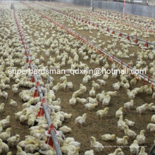 Equipo completo de aves de corral automáticas para la granja de pollos de engorde